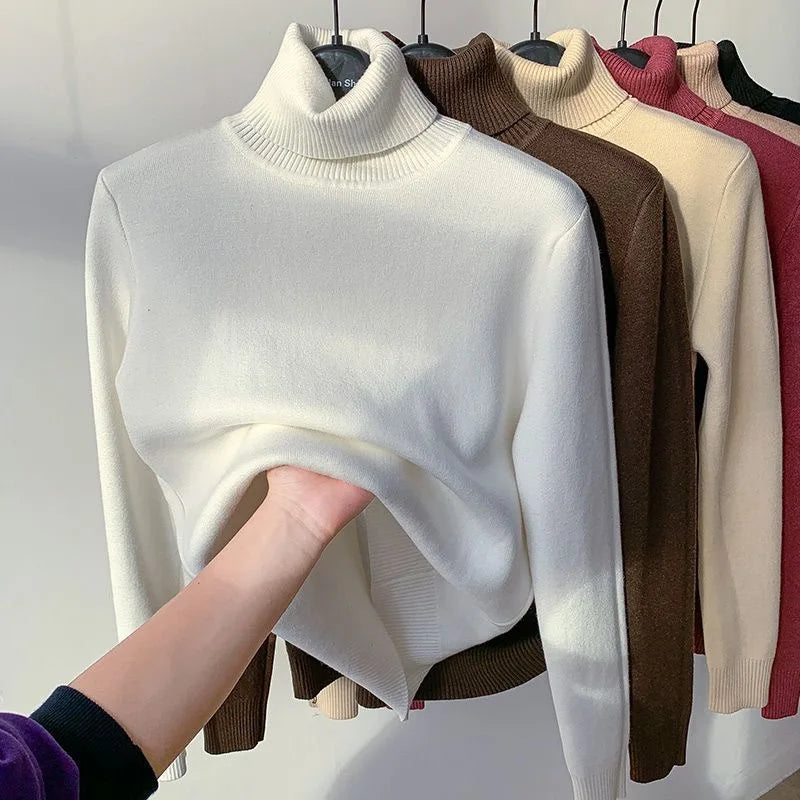 Amélie Velvet Knit Turtleneck