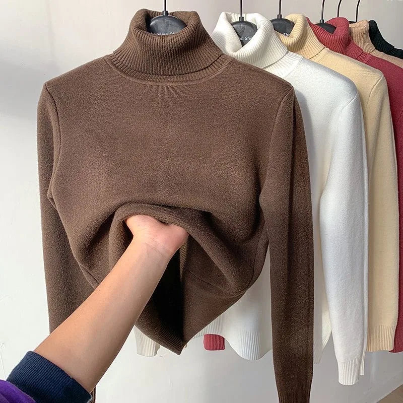 Amélie Velvet Knit Turtleneck
