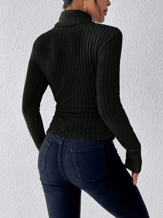 Allegra Striped Knit Turtleneck