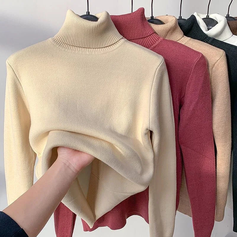 Amélie Velvet Knit Turtleneck