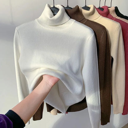Amélie Velvet Knit Turtleneck