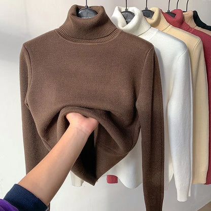 Amélie Velvet Knit Turtleneck