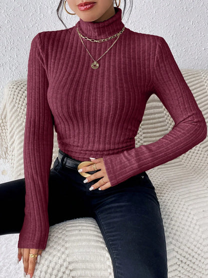 Allegra Striped Knit Turtleneck